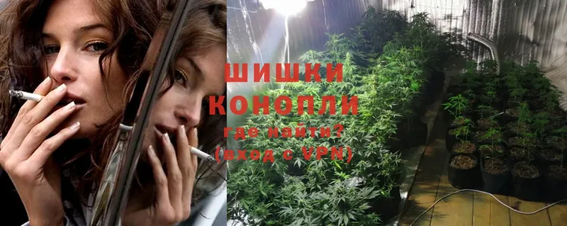 Конопля SATIVA & INDICA  mega маркетплейс  Омск 